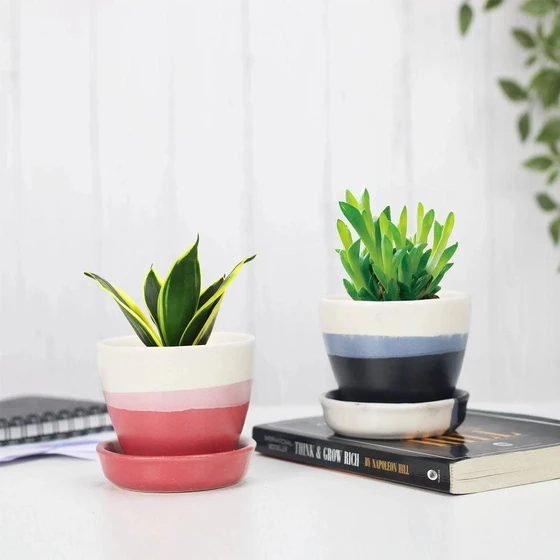 multi-color-round-planter-1.webp