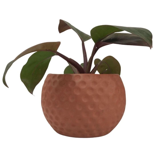 round-garden-pot-2.webp
