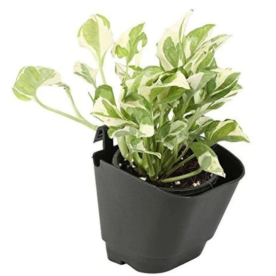 vertical-garden-pot-2.webp