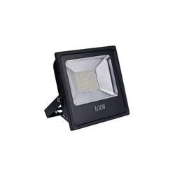 LED Flood Outdoor Light