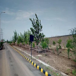 OPC Zuari Cement