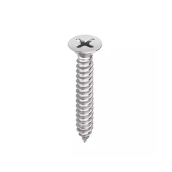 Stainless Steel Screw