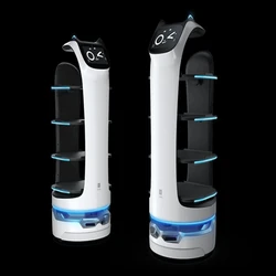 Food Delivery Robot