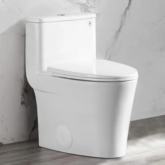 one-piece-toilets-1.webp