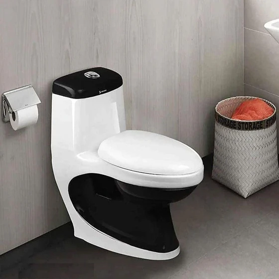 one-piece-toilets-2.webp