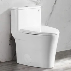 One Piece Toilets