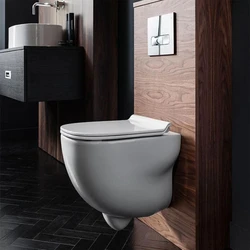 Wall Hung Toilets