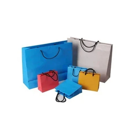 paper-carry-bags.webp