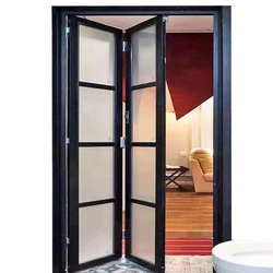 Folding Aluminium Bathroom Door, 8mm thick, custom