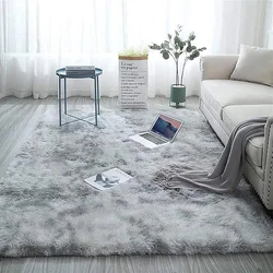 Living Room Decor Carpets, contemporary accent
