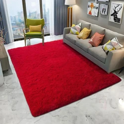 Living Room Anti-Skid Carpet, naturally resistant