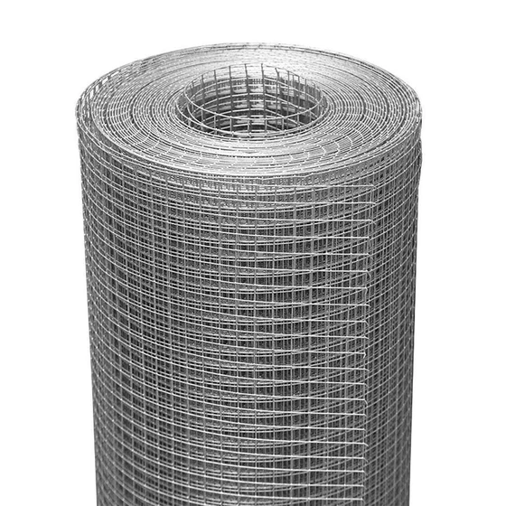 galvanized-wire-chicken-mesh-1.webp