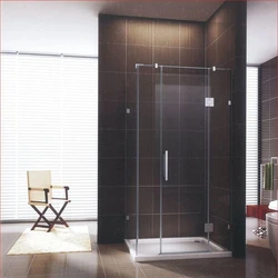 Steel Tone Shower 