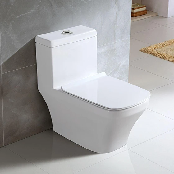 single-toilet-seat-2.webp