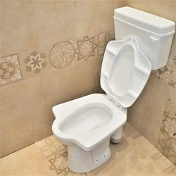Anglo Water Closet — Weight 4 8kg dual flush