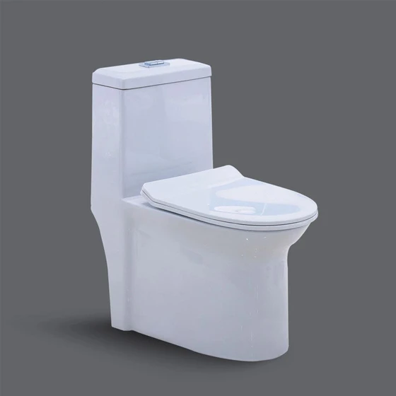 western-ceramic-seat-2.webp