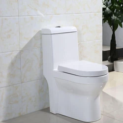 Ceramic Sanitary Toilet Seats
