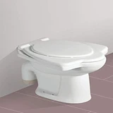 Anglo Indian Toilet Seat