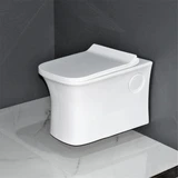 Siphonic Hung Toilet