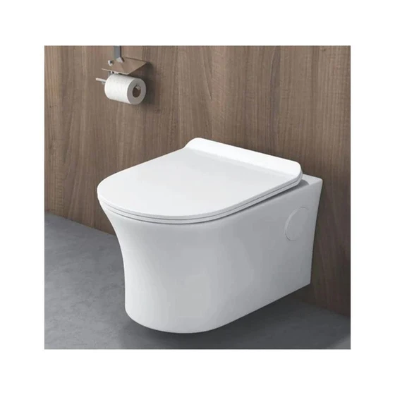 water-hung-toilet-2.webp