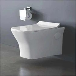 Water Hung Toilet