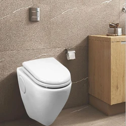Wall Hung Toilet
