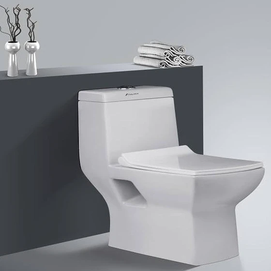 sanitary-ceramic-toilet-seat-2.webp