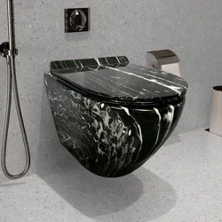 Premium Water Closet