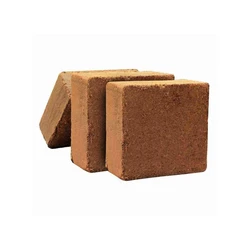 Square Cocopeat Block