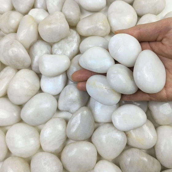 white-polished-pebbles-2.webp