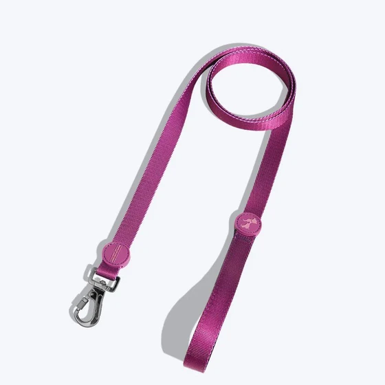 dog-leashes-2.webp
