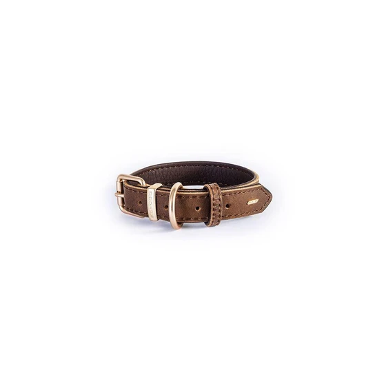 brown-dog-collars-2.webp