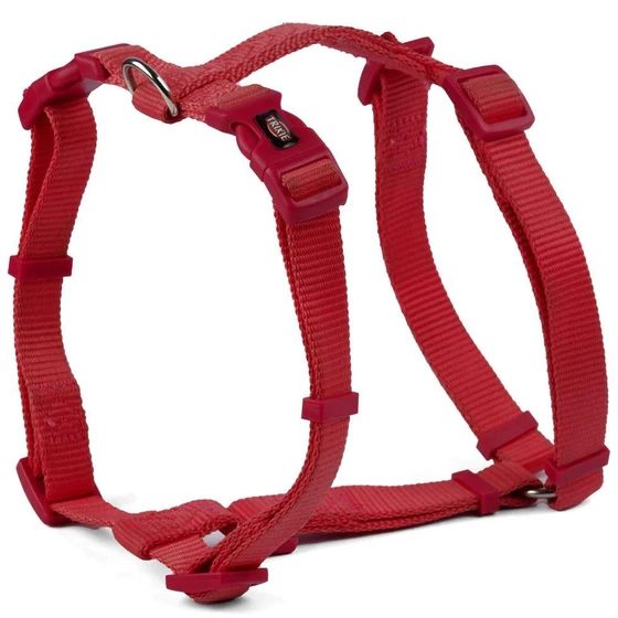 dog-accessories-2.webp