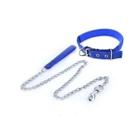 dog-chain-2.webp