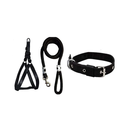 dog-belt-2.webp