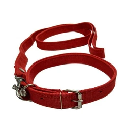 Dog Belt