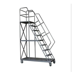 Metal Industrial Ladder