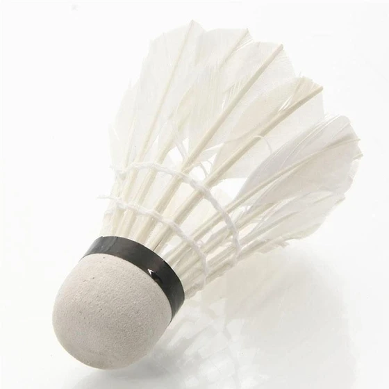 badmintion-shuttlecock-2.webp