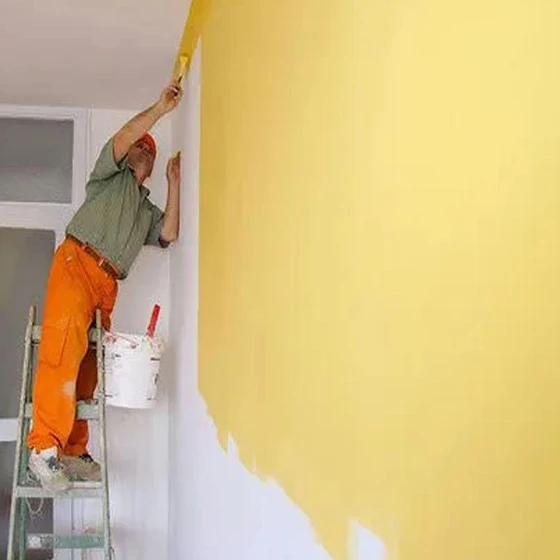 wall-exterior-paints-2.webp