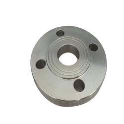 Dip Galvanized Flange