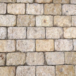 Tumbled Paving Stone