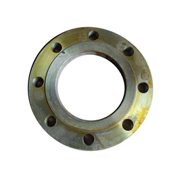 Mild Industrial Flanges 