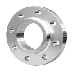 Steel Duplex Flanges
