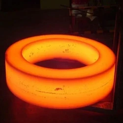 Ring Forged Rollings