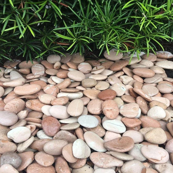 pink-sandstone-pebbles-2.webp