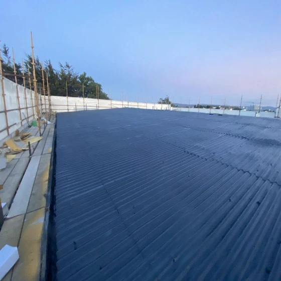 waterproofing-roof-services-2-1.webp