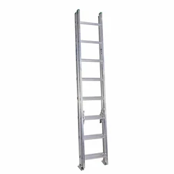 Straight Wall Ladder