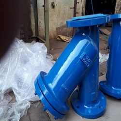 Water PFA Strainer