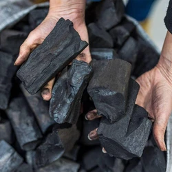 Wood Charcoal Lumps