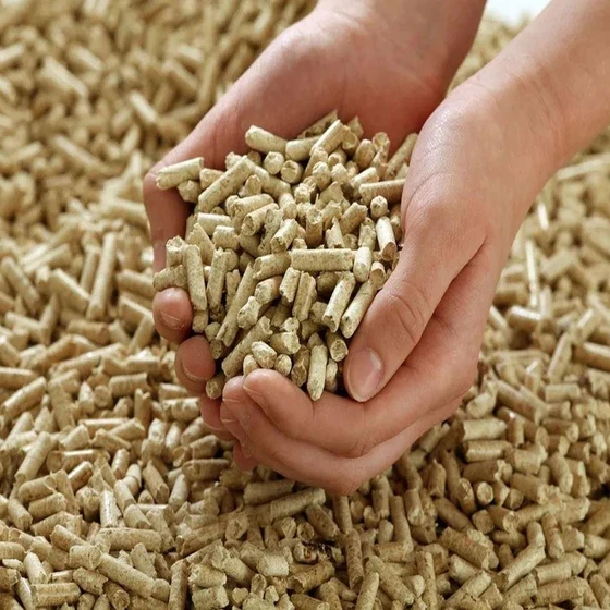 biomass-wood-pellets-2.webp